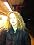 Main1333828141._sx45_sy45_