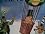 Main1342265049._sx45_sy45_
