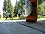 Main1305401262._sx45_sy45_