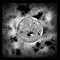 Main1318827738._sx60_sy80_